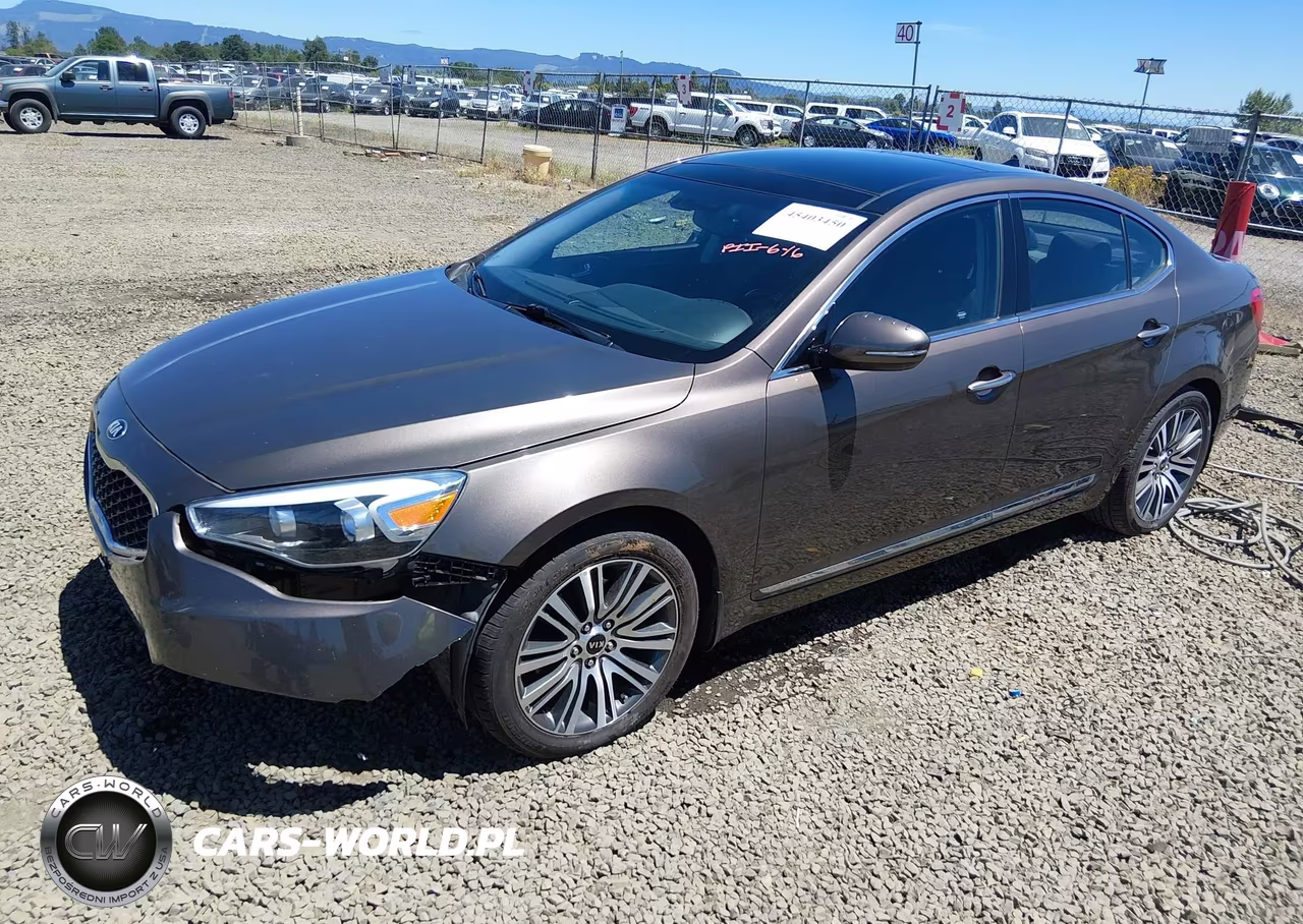 2015 Kia Cadenza Premium VIN:KNALN4D70F5171272 - 2
