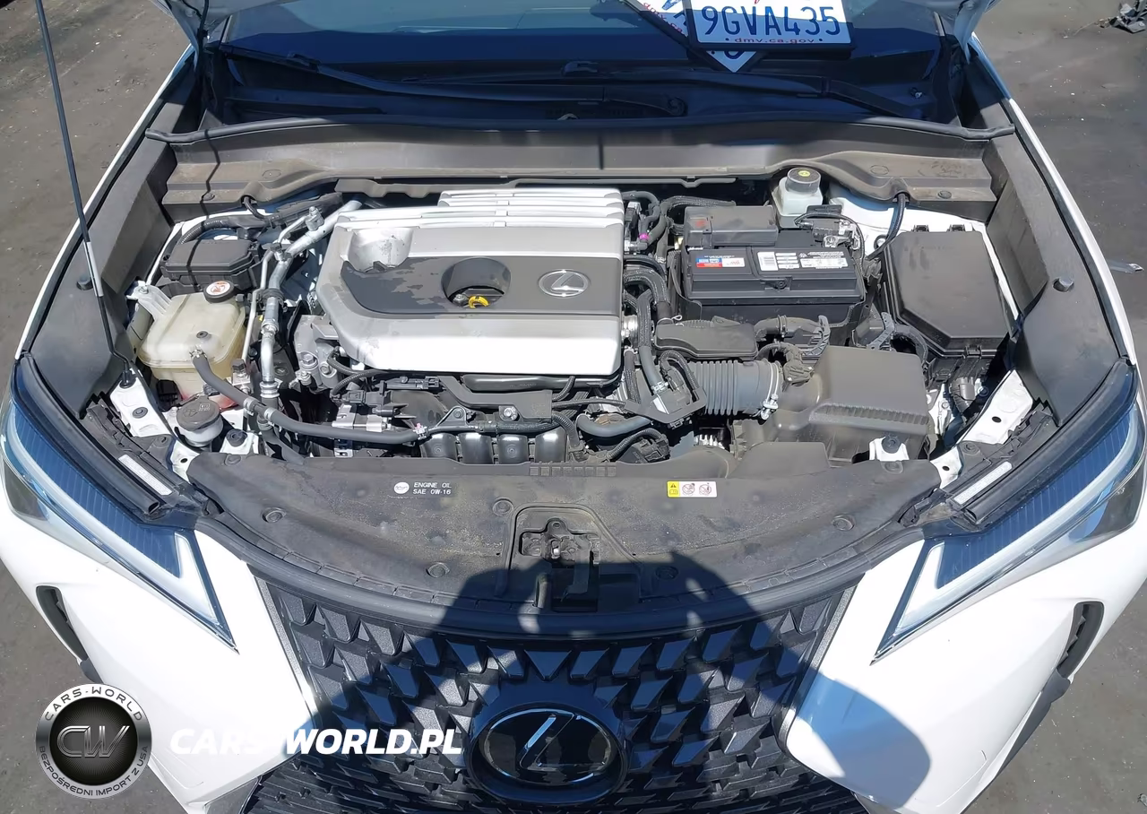 2019 Lexus Ux 200 VIN:JTHY3JBH1K2013882 - 10