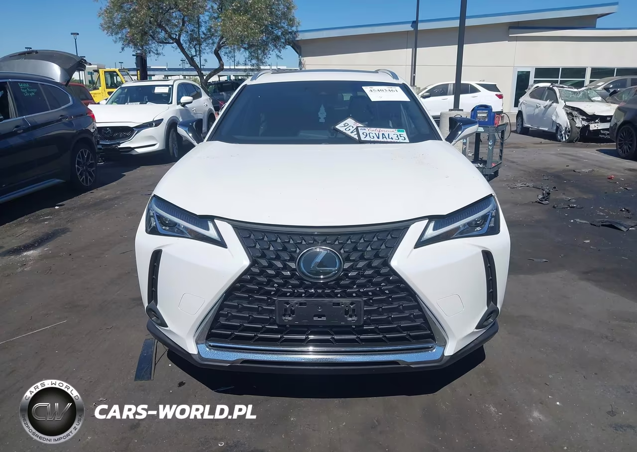 2019 Lexus Ux 200 VIN:JTHY3JBH1K2013882 - 12