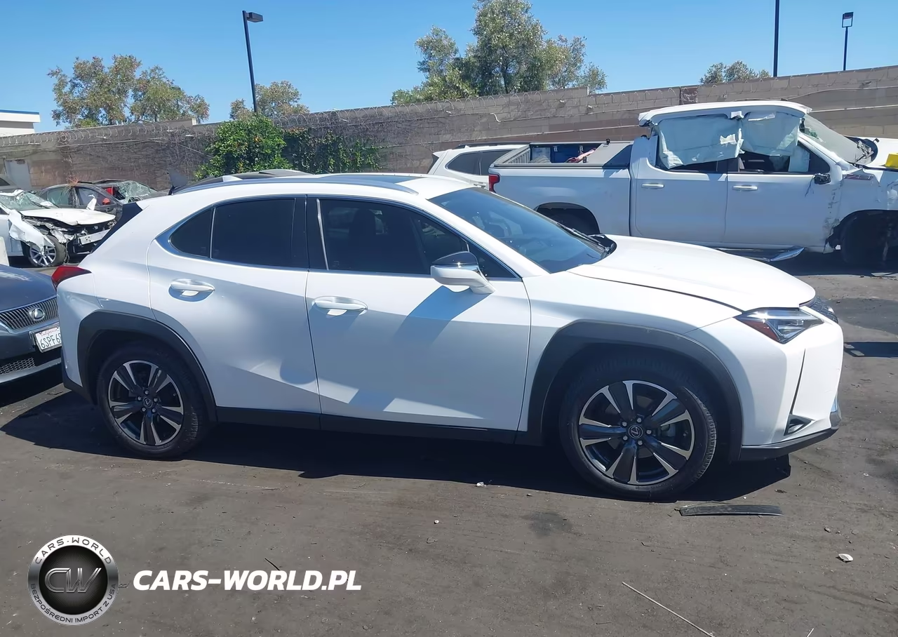 2019 Lexus Ux 200 VIN:JTHY3JBH1K2013882 - 13