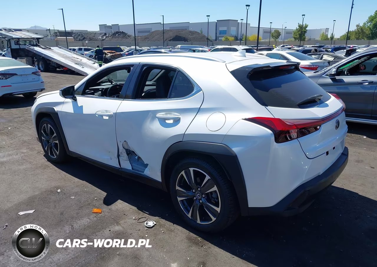 2019 Lexus Ux 200 VIN:JTHY3JBH1K2013882 - 3