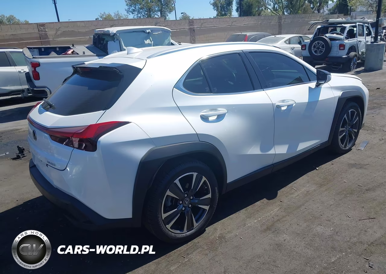 2019 Lexus Ux 200 VIN:JTHY3JBH1K2013882 - 4
