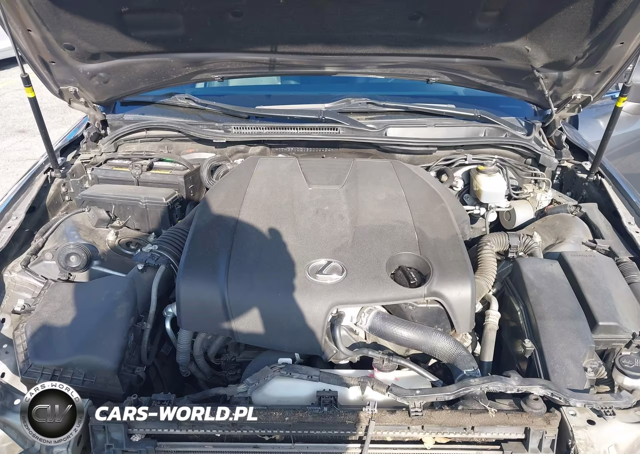 2014 Lexus Is 250 VIN:JTHBF1D21E5006424 - 10