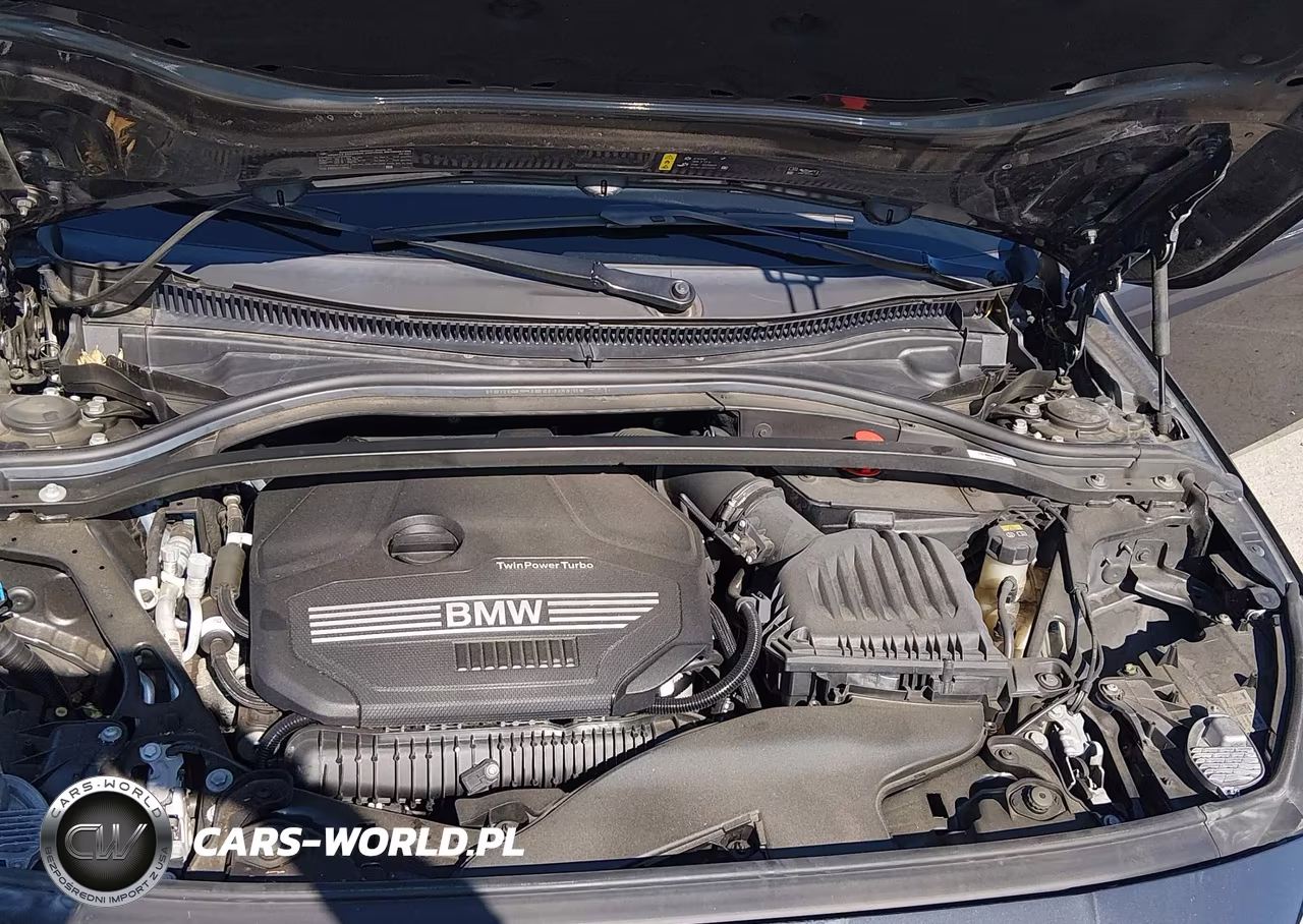 2021 BMW 228I Gran Coupe Sdrive VIN:WBA53AK00M7H40676 - 10