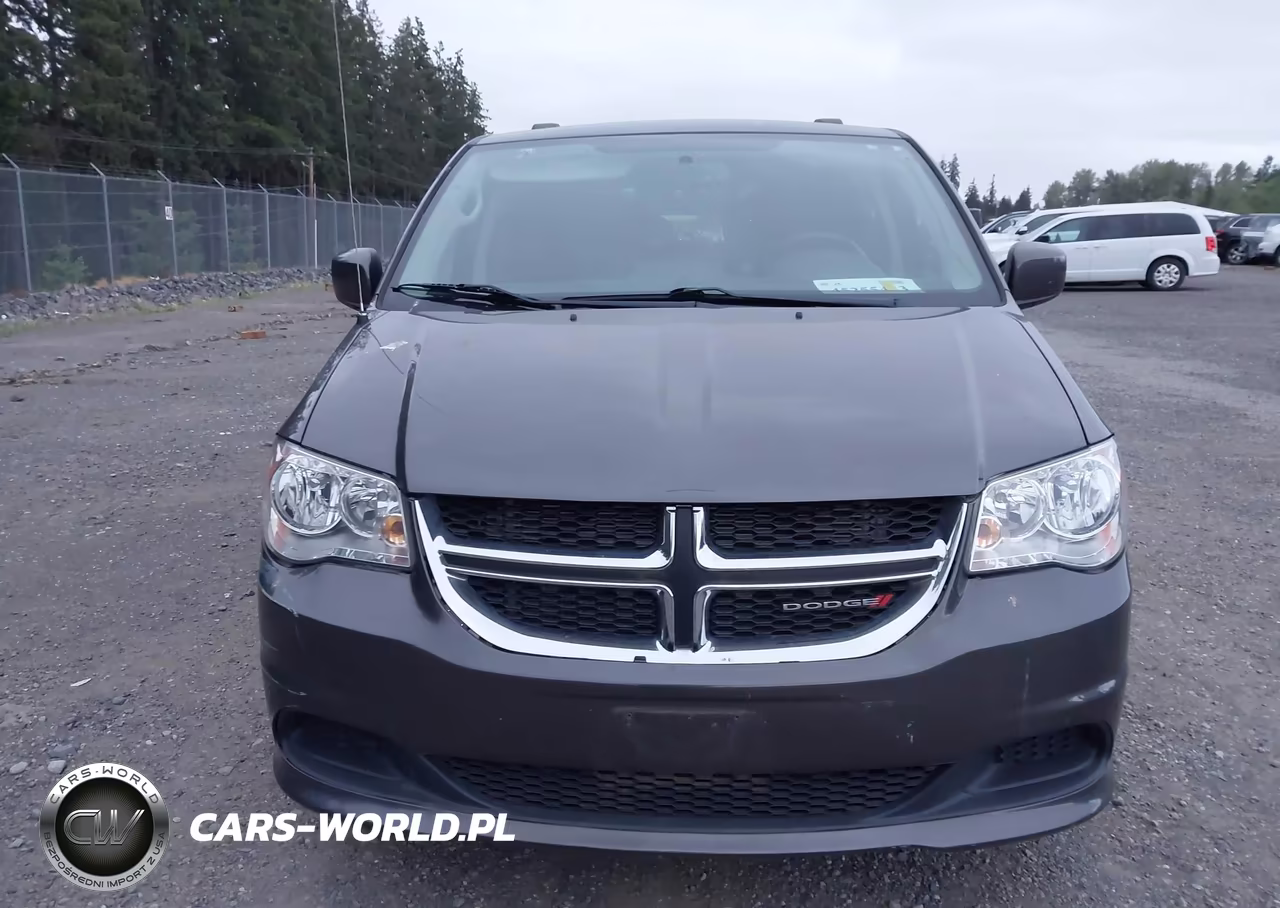 2016 Dodge Grand Caravan Sxt VIN:2C4RDGCG7GR374828 - 17