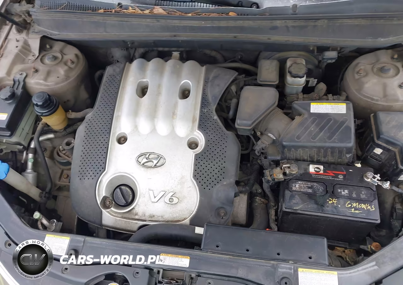 2007 Hyundai Santa Fe Gls VIN:5NMSG13D07H069869 - 10