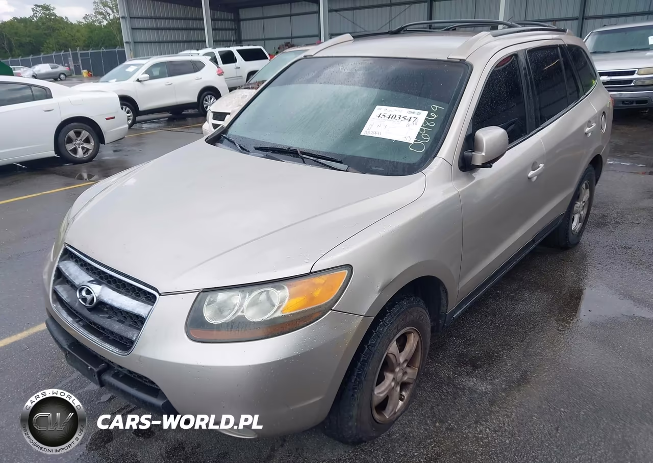 2007 Hyundai Santa Fe Gls VIN:5NMSG13D07H069869 - 2