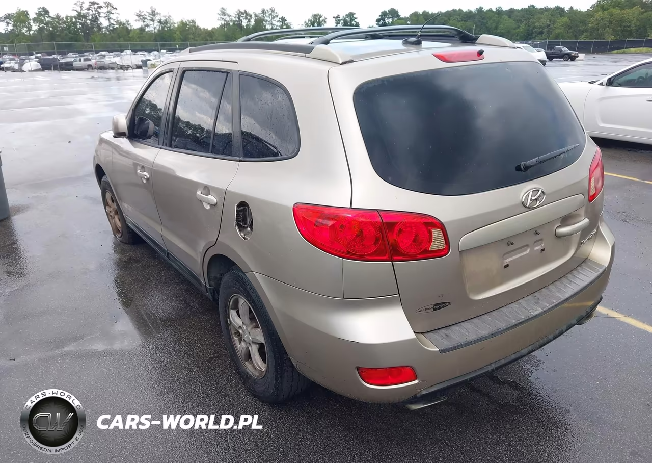 2007 Hyundai Santa Fe Gls VIN:5NMSG13D07H069869 - 3
