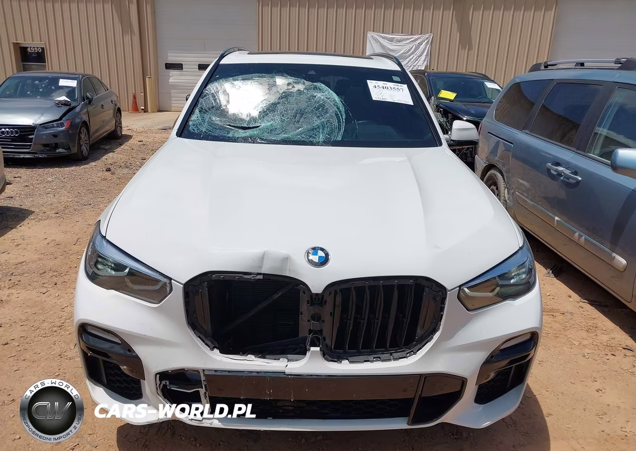 2021 BMW X5 Sdrive40I VIN:5UXCR4C04M9G04966 - 12