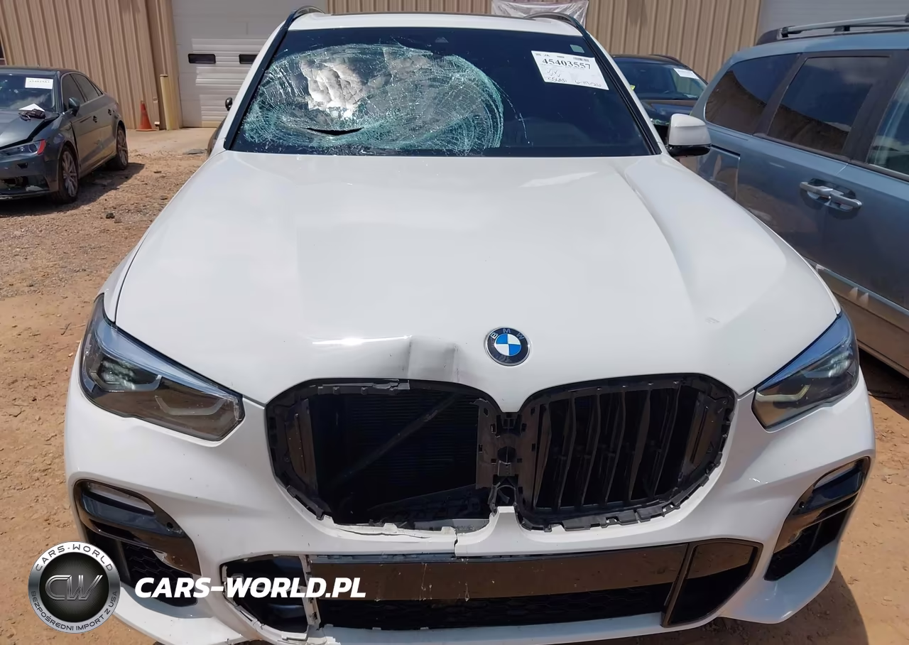 2021 BMW X5 Sdrive40I VIN:5UXCR4C04M9G04966 - 6