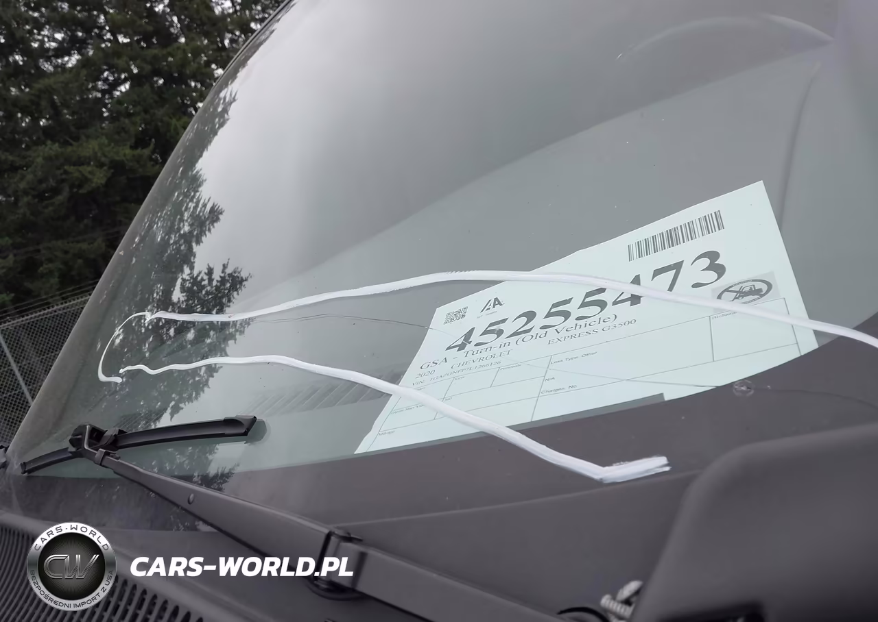 2020 Chevrolet Express Passenger Rwd 3500 Extended Wheelbase Ls VIN:1GAZGNFP7L1266126 - 6