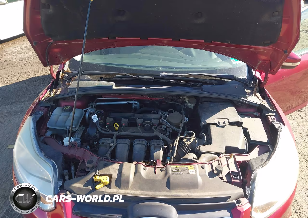 2014 Ford Focus Se VIN:1FADP3K25EL104556 - 10