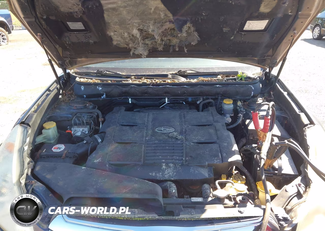 2010 Subaru Outback 3.6R Limited VIN:4S4BRDKCXA2319372 - 10