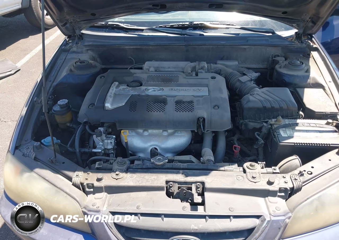 2004 Hyundai Elantra Gls-Gt VIN:KMHDN46D64U815754 - 10