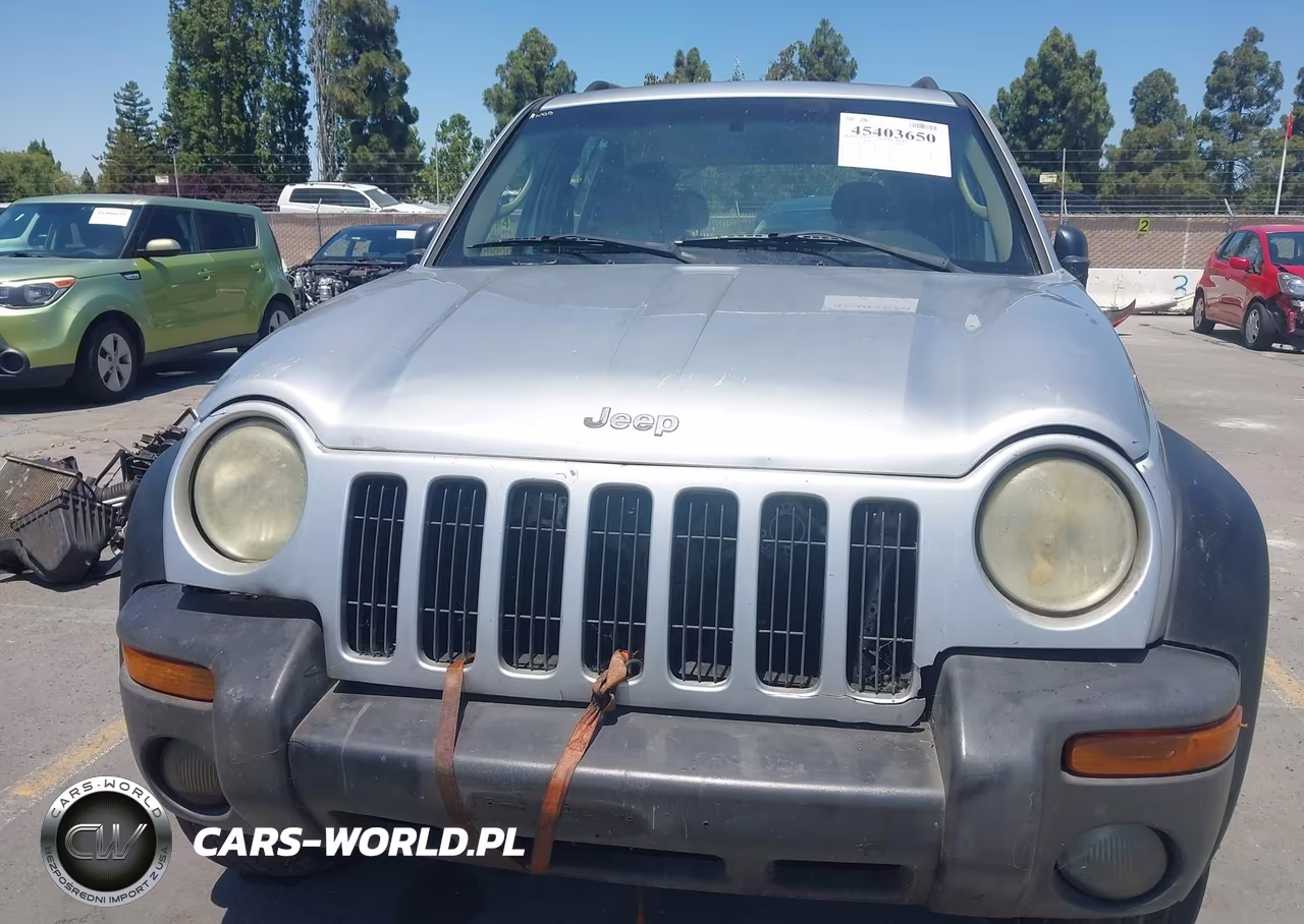 2003 Jeep Liberty Sport VIN:1J4GL48K13W548863 - 6