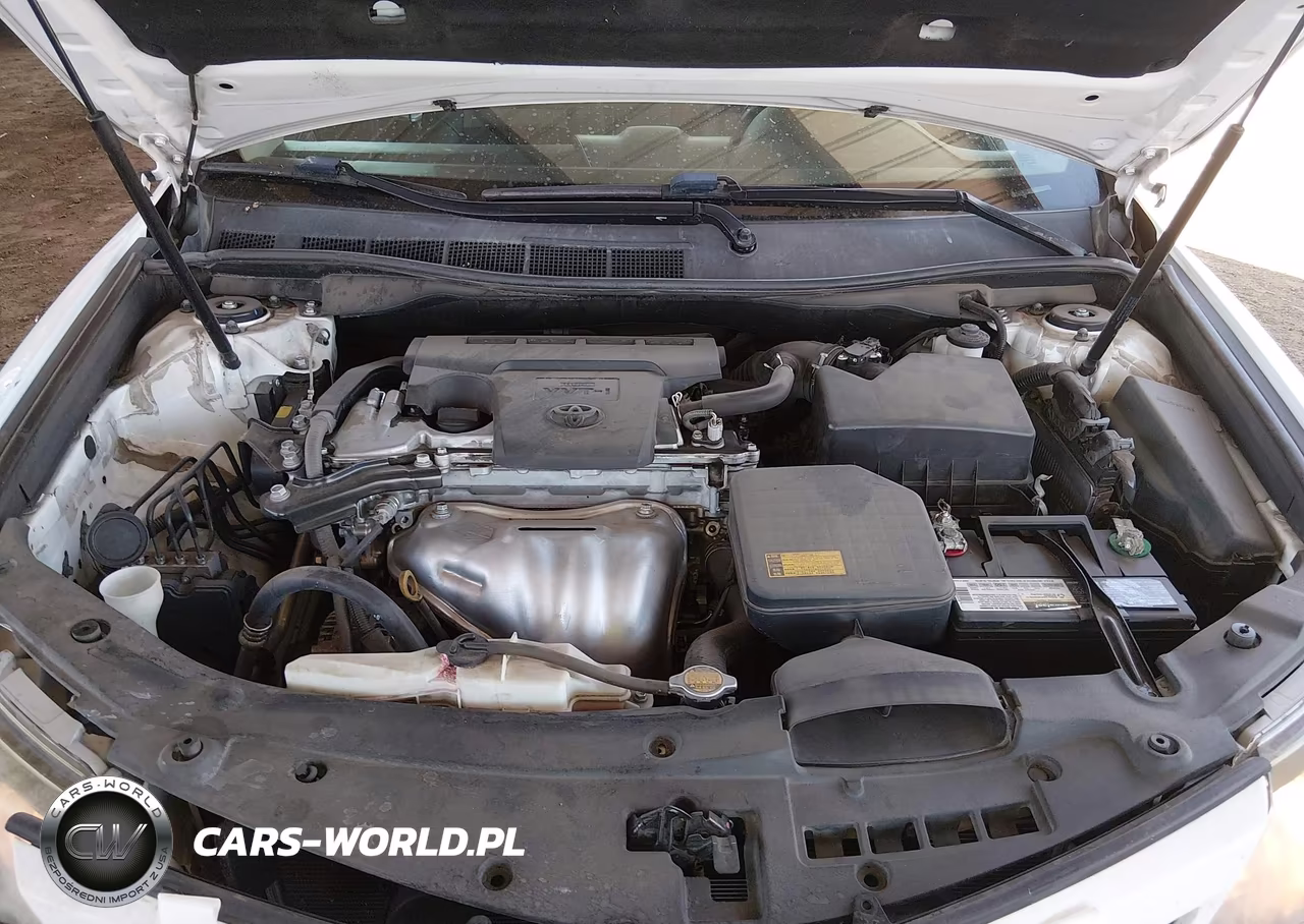 2014 Toyota Camry Se VIN:4T1BF1FK4EU745786 - 10