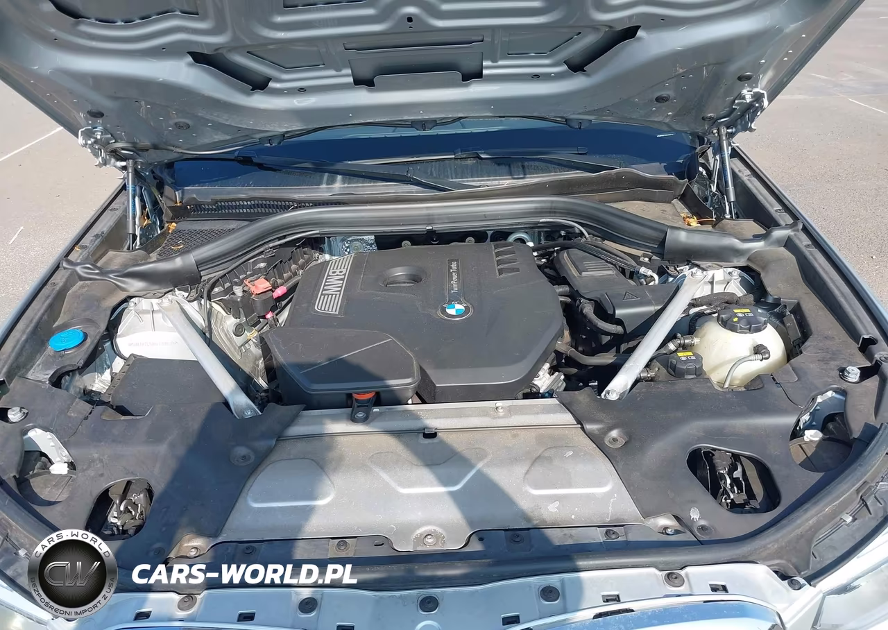 2019 BMW X3 Sdrive30I VIN:5UXTR7C50KLE88629 - 10