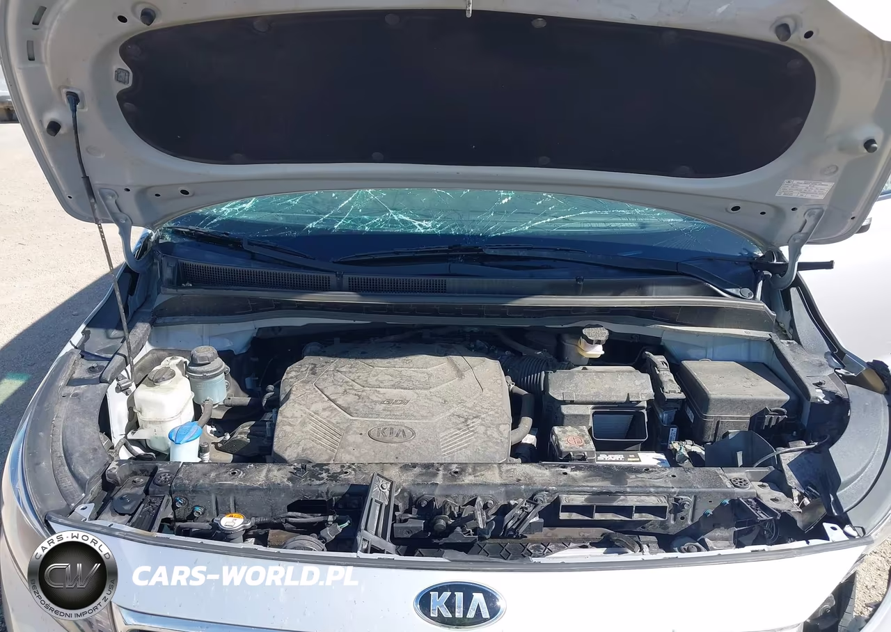 2021 Kia Sedona Lx VIN:KNDMB5C13M6667645 - 10
