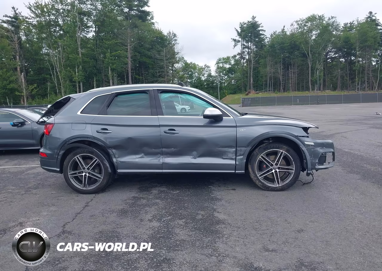 2018 Audi Sq5 3.0T Premium Plus VIN:WA1A4AFY1J2054838 - 13