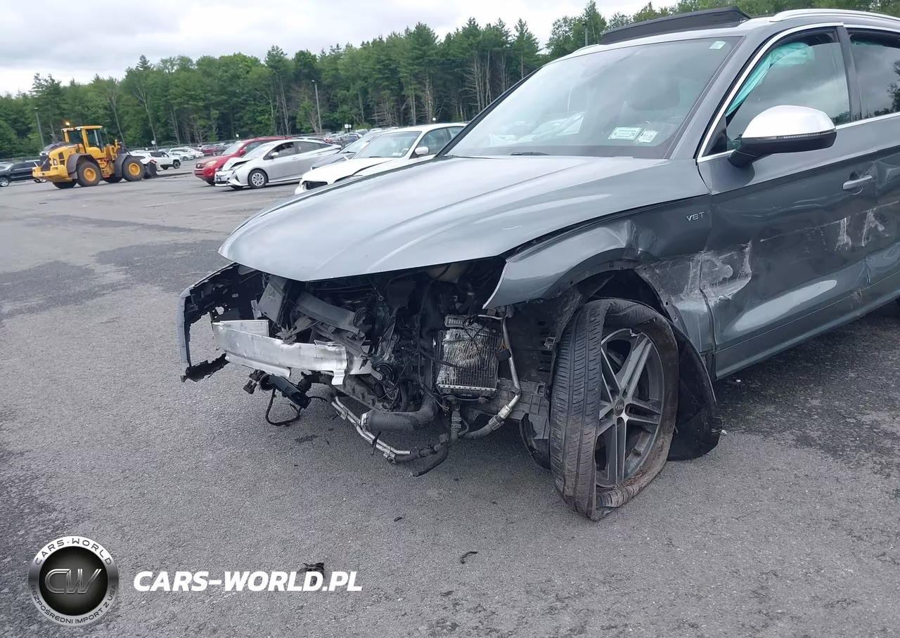 2018 Audi Sq5 3.0T Premium Plus VIN:WA1A4AFY1J2054838 - 6