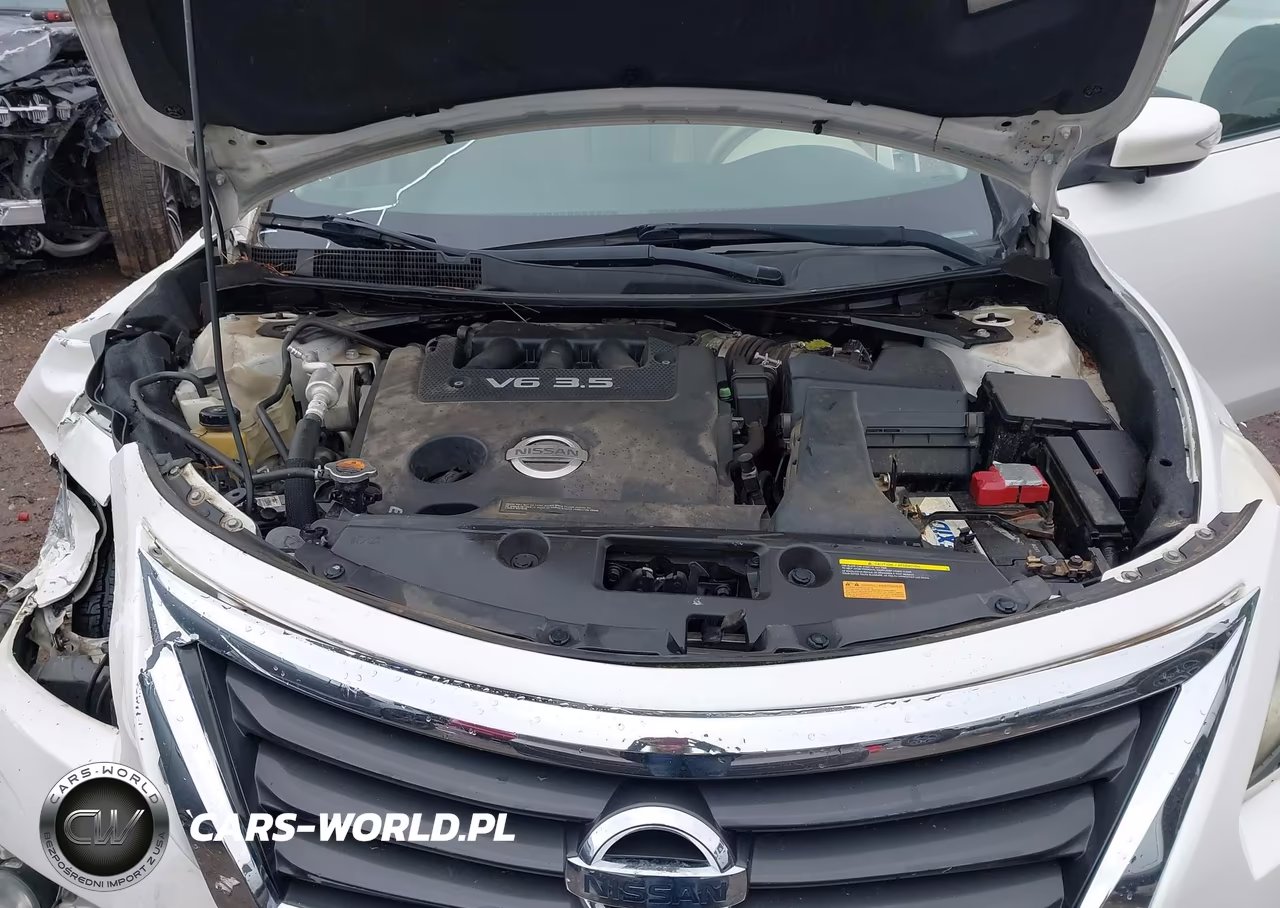 2013 Nissan Altima 3.5 Sl VIN:1N4BL3AP9DN439354 - 10
