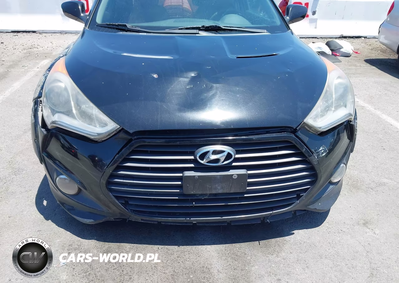 2015 Hyundai Veloster Turbo R-Spec VIN:KMHTC6AE3FU241159 - 6