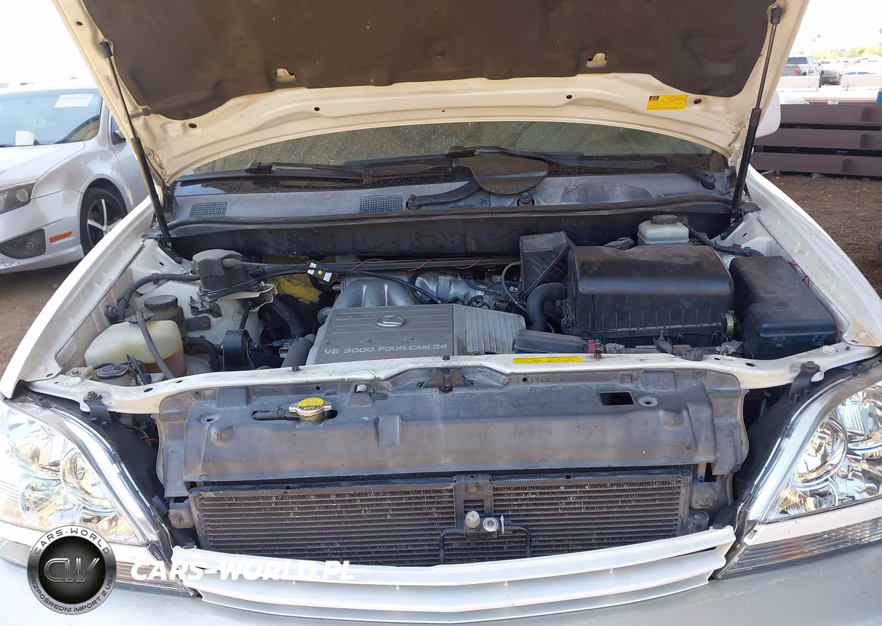 2001 Lexus Rx 300 VIN:JTJHF10U310195861 - 10