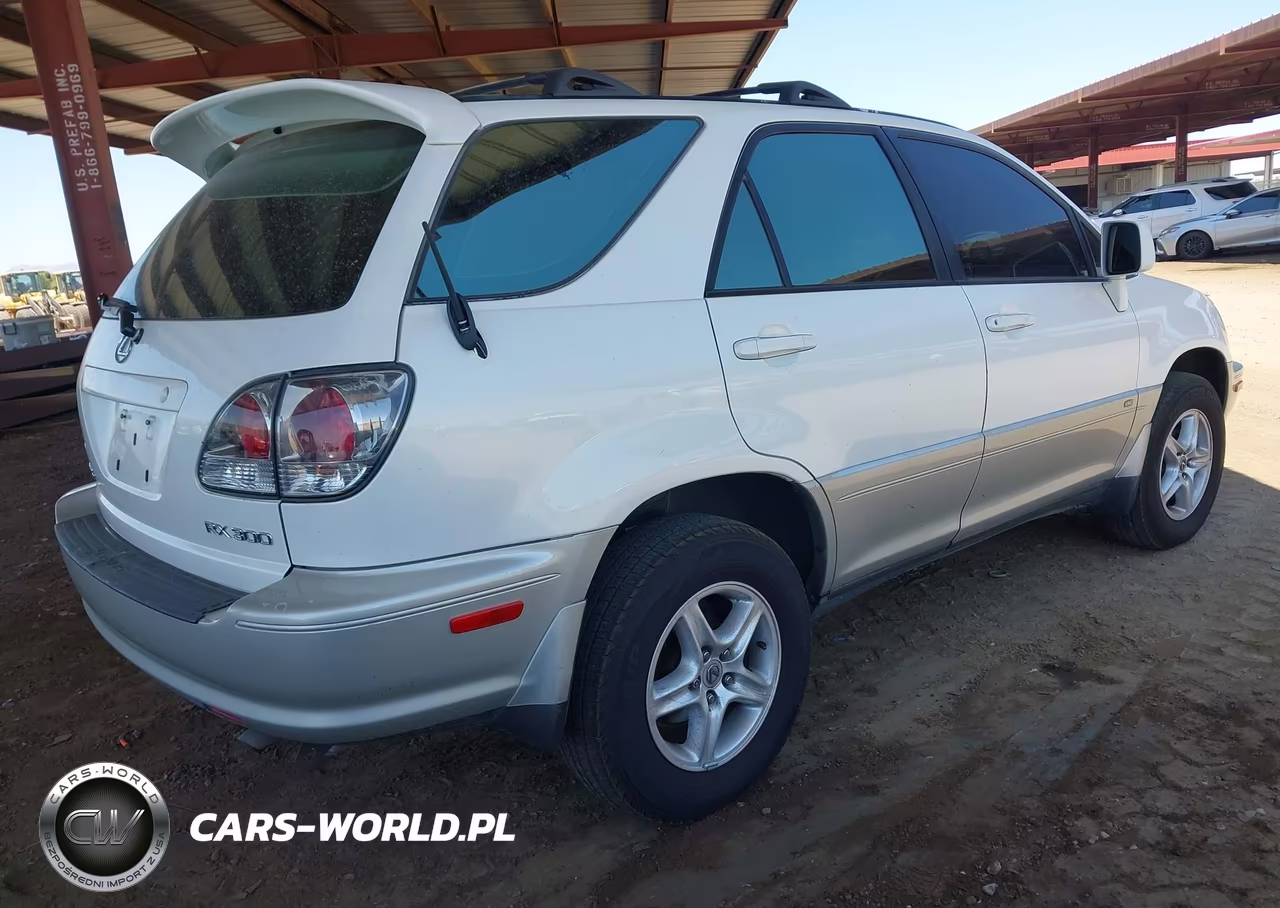 2001 Lexus Rx 300 VIN:JTJHF10U310195861 - 4