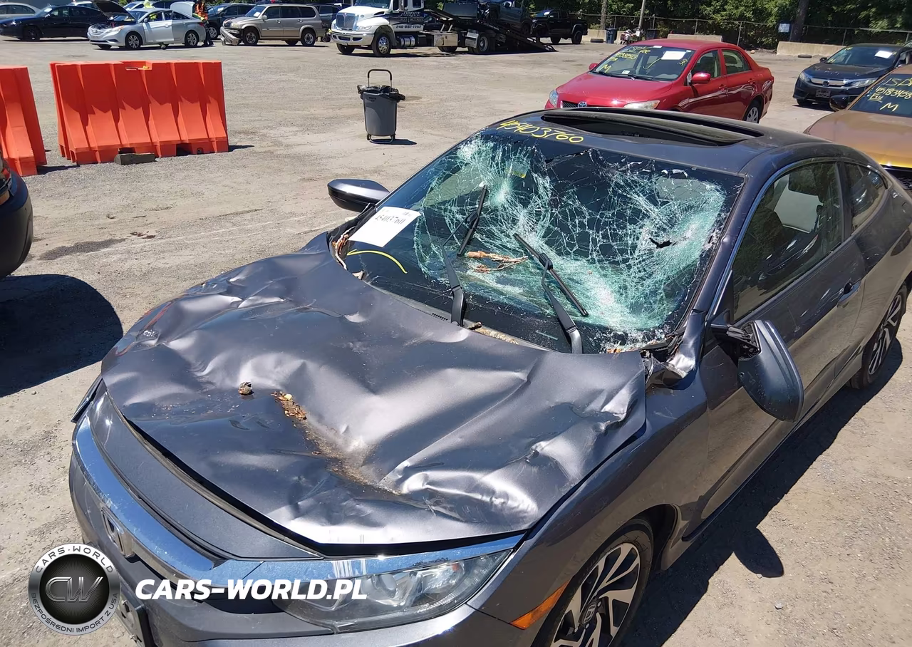 2016 Honda Civic Lx-P VIN:2HGFC4B01GH311675 - 6