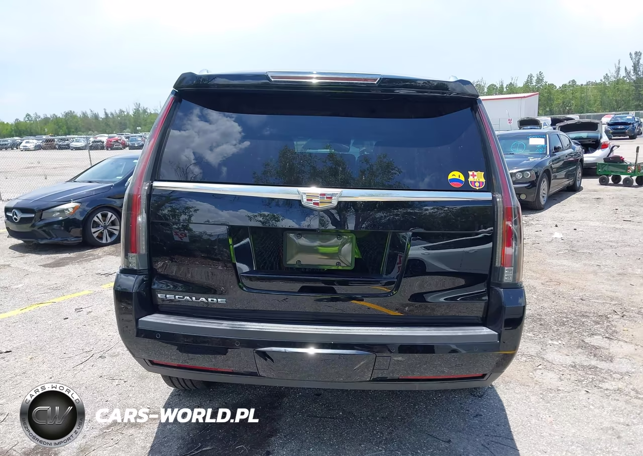 2015 Cadillac Escalade Premium VIN:1GYS4NKJXFR514131 - 15