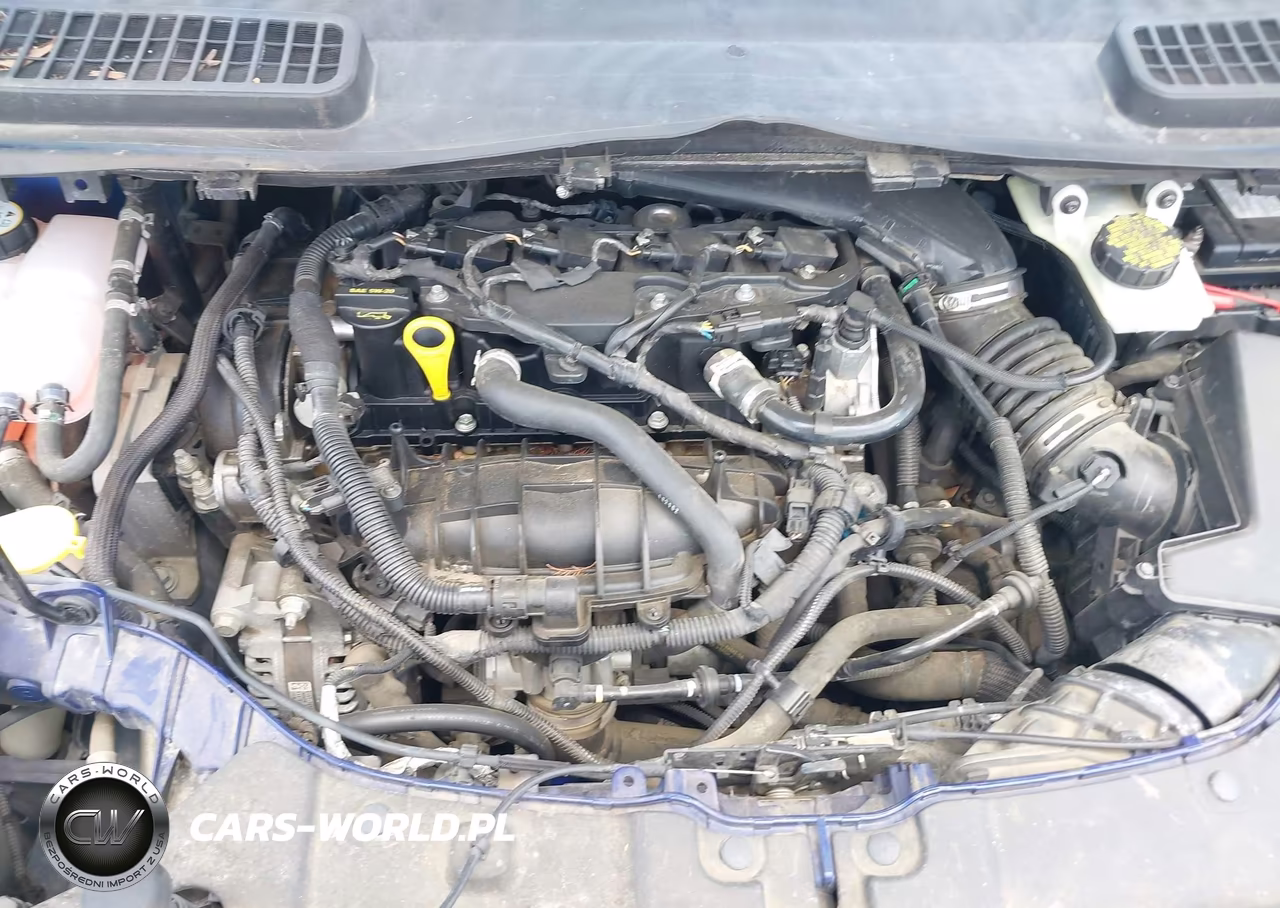 2014 Ford Escape Se VIN:1FMCU0GX3EUC31944 - 10