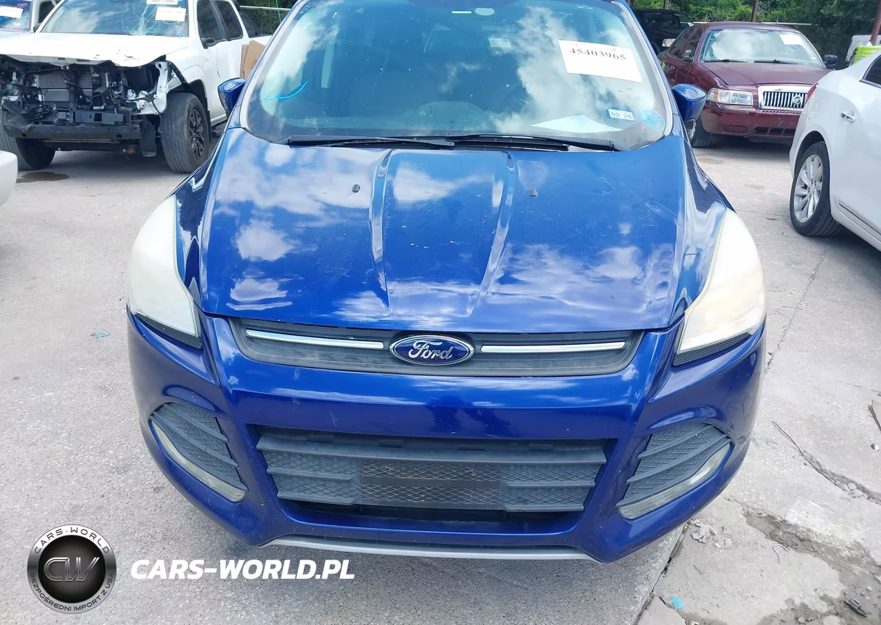2014 Ford Escape Se VIN:1FMCU0GX3EUC31944 - 6