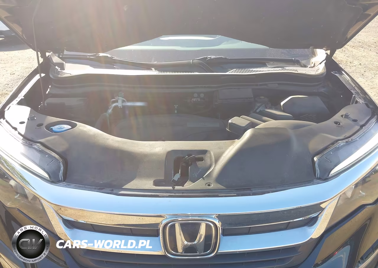 2019 Honda Pilot Ex-L VIN:5FNYF6H51KB089313 - 10
