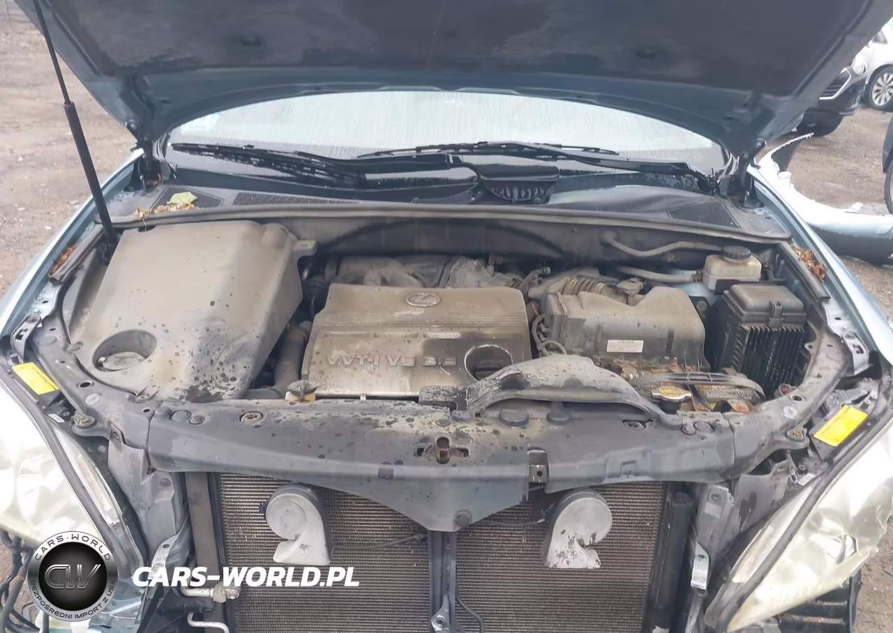 2006 Lexus Rx 330 VIN:2T2HA31U66C105283 - 10