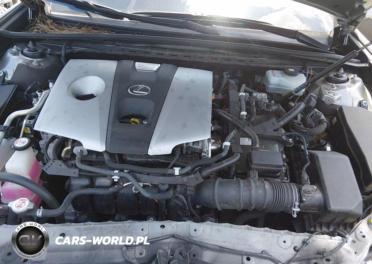 2019 Lexus Es 300H VIN:JTHB21B11K2036929 - 10