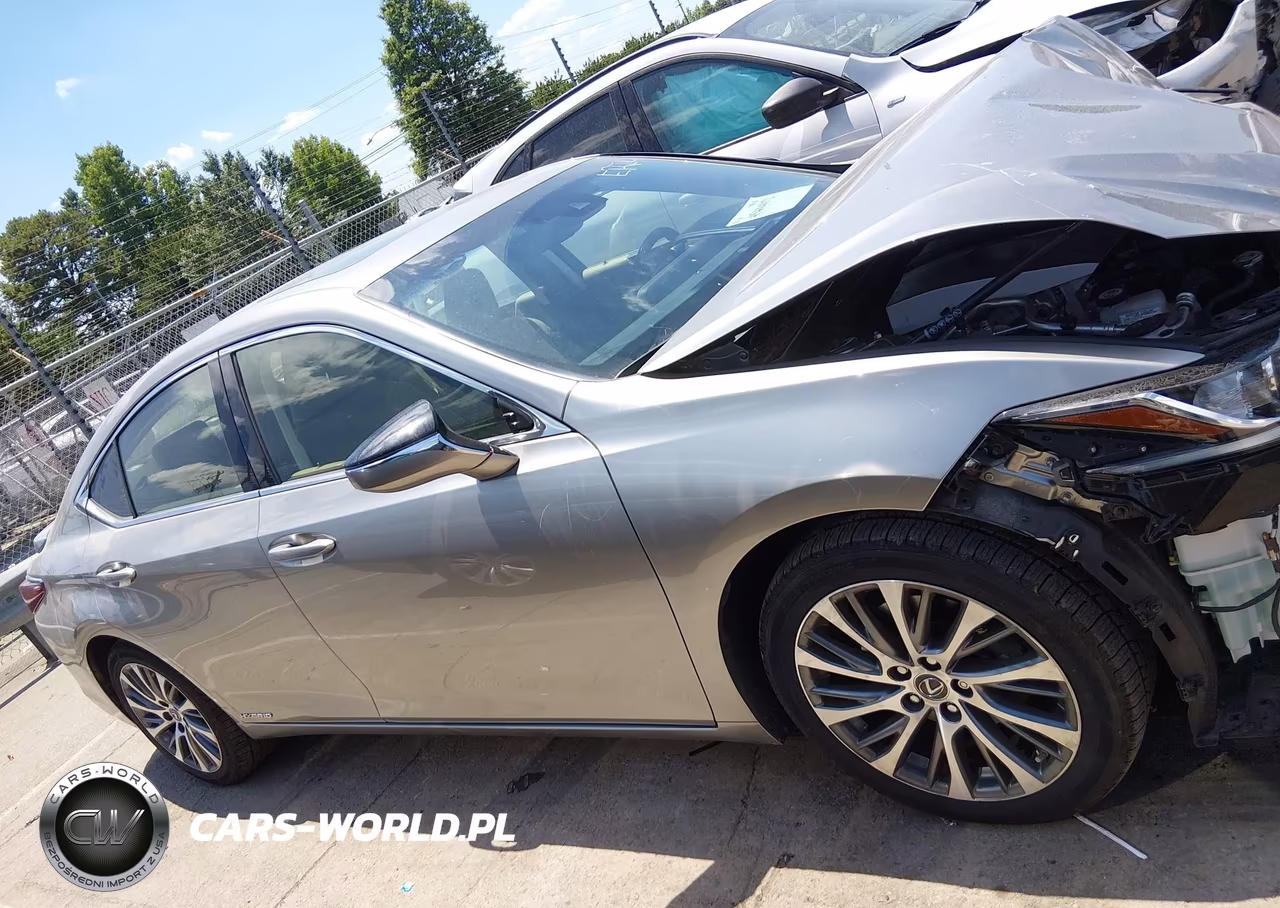 2019 Lexus Es 300H VIN:JTHB21B11K2036929 - 14