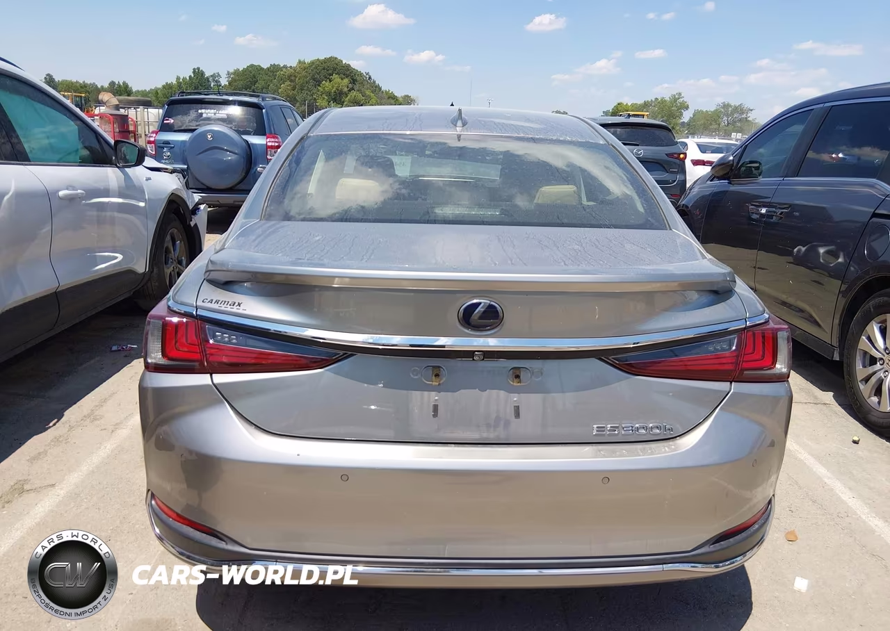 2019 Lexus Es 300H VIN:JTHB21B11K2036929 - 17