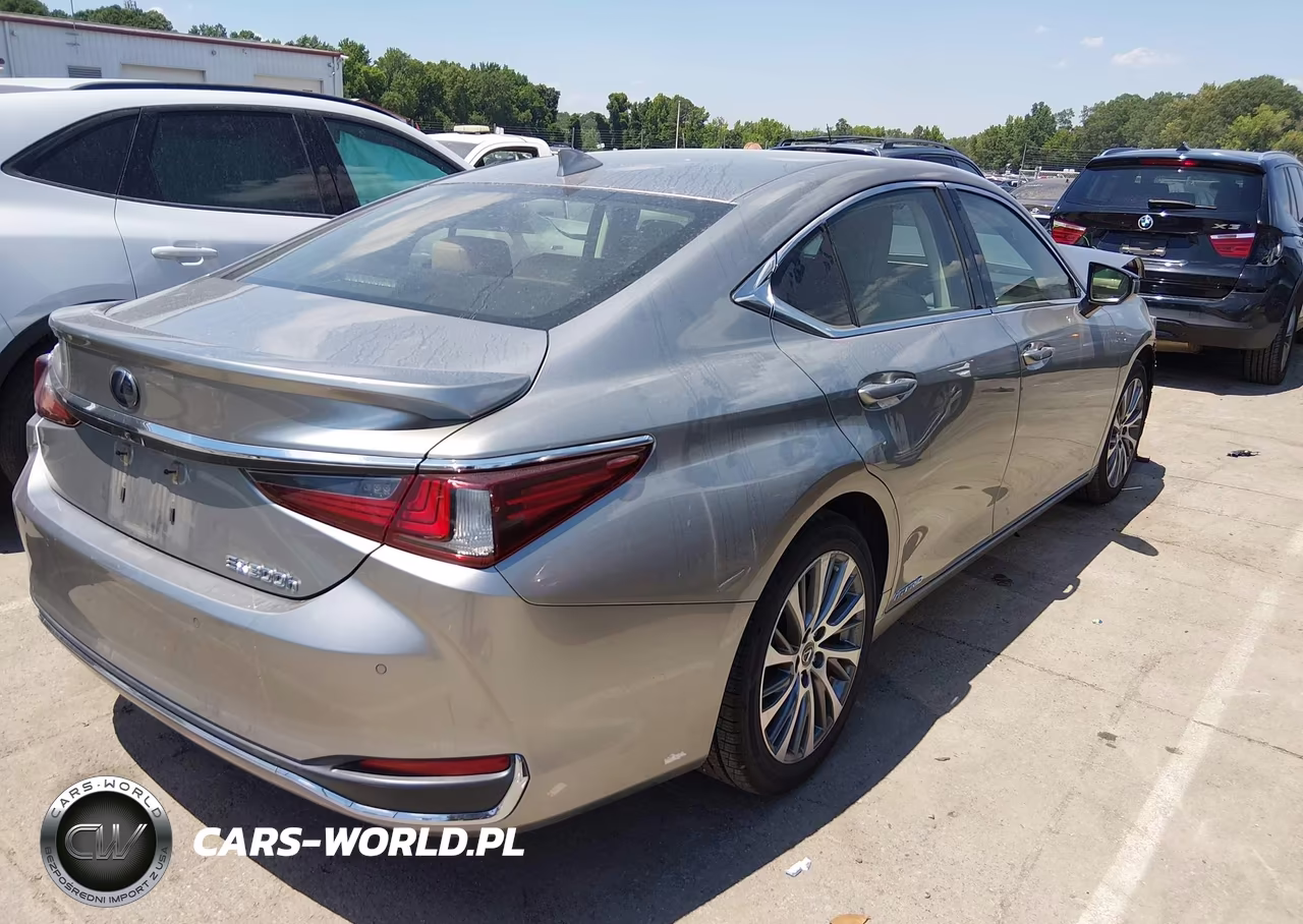 2019 Lexus Es 300H VIN:JTHB21B11K2036929 - 4