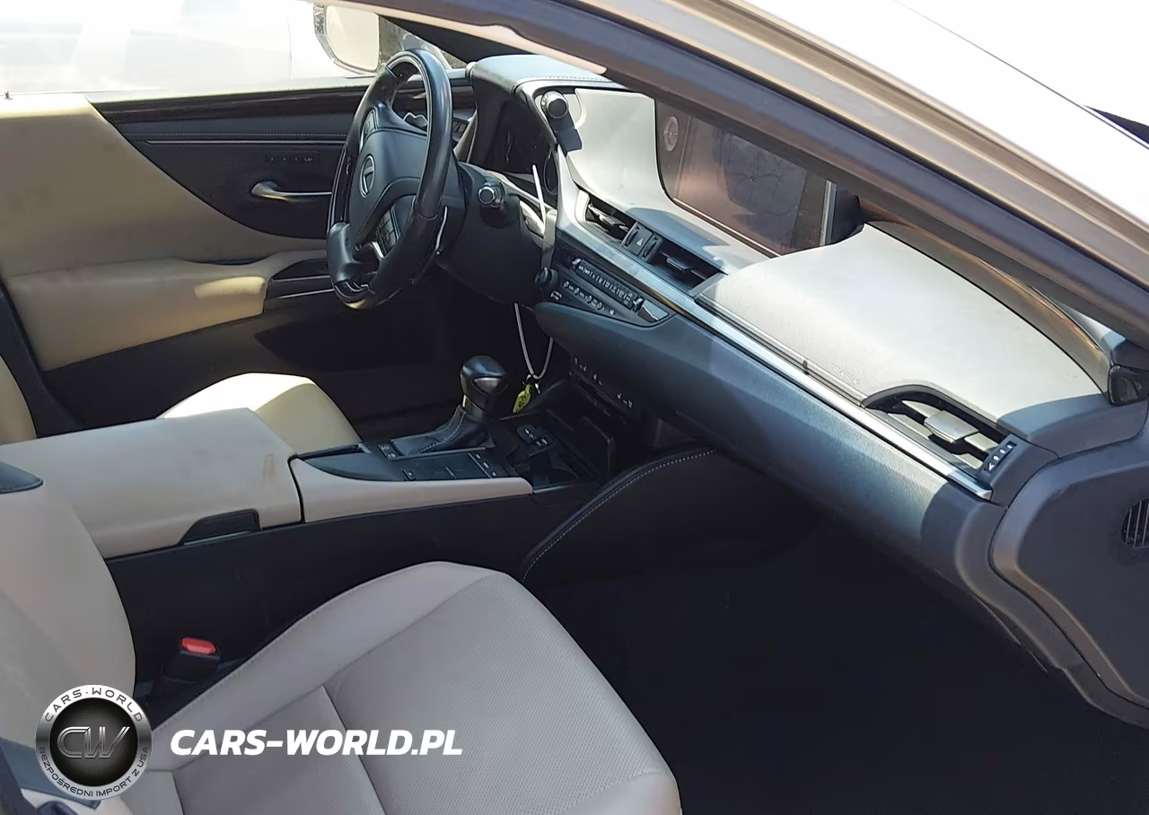 2019 Lexus Es 300H VIN:JTHB21B11K2036929 - 5