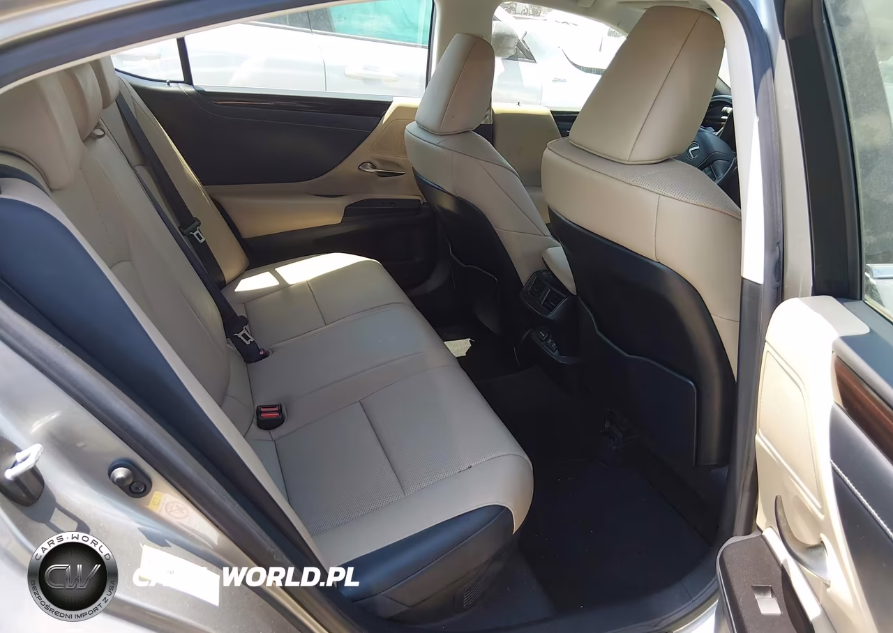 2019 Lexus Es 300H VIN:JTHB21B11K2036929 - 8