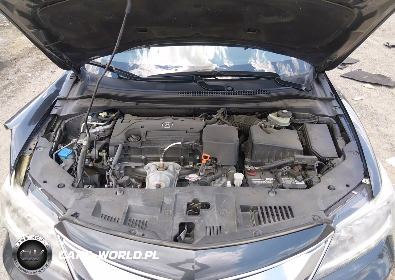2016 Acura Ilx 2.4L-Acurawatch Plus Package VIN:19UDE2F34GA003053 - 10