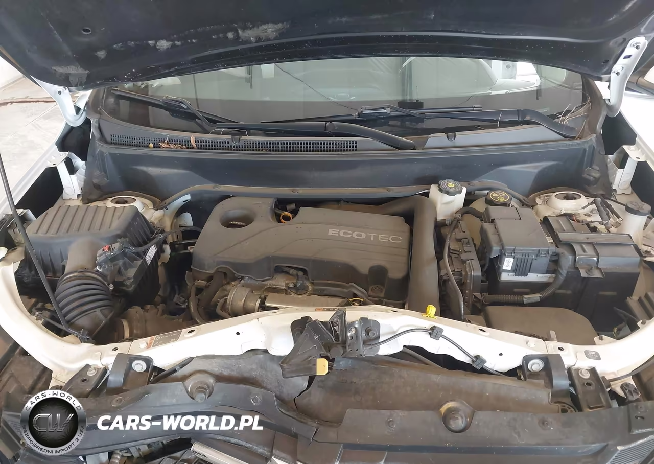 2019 Chevrolet Equinox Lt VIN:2GNAXTEV8K6215343 - 10