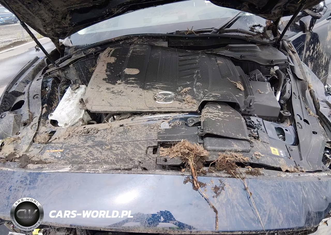 2026 Mazda Cx-90 3.3 Turbo Premium Sport VIN:JM3KKCHD2T1372229 - 10