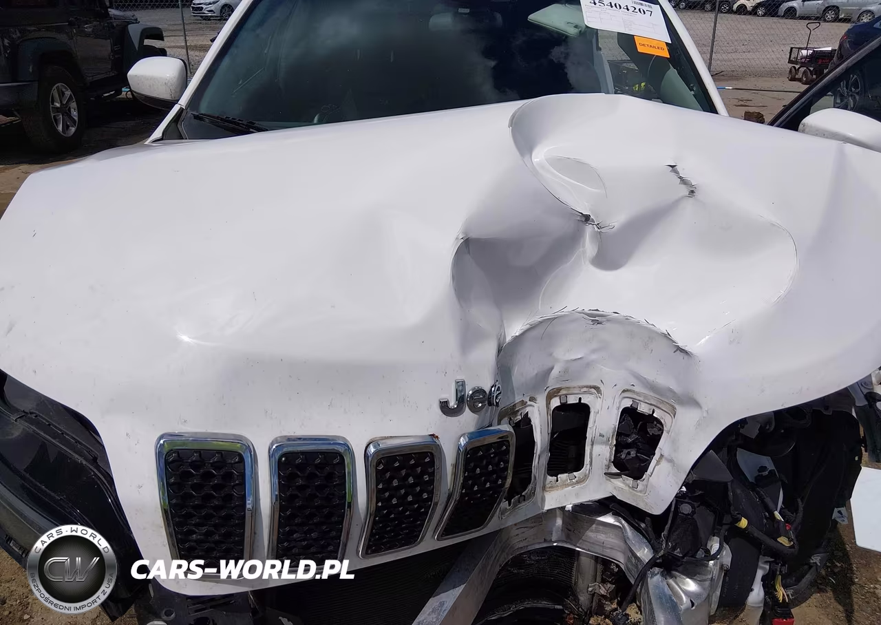 2020 Jeep Cherokee Latitude Plus 4X4 VIN:1C4PJMLB5LD602566 - 10