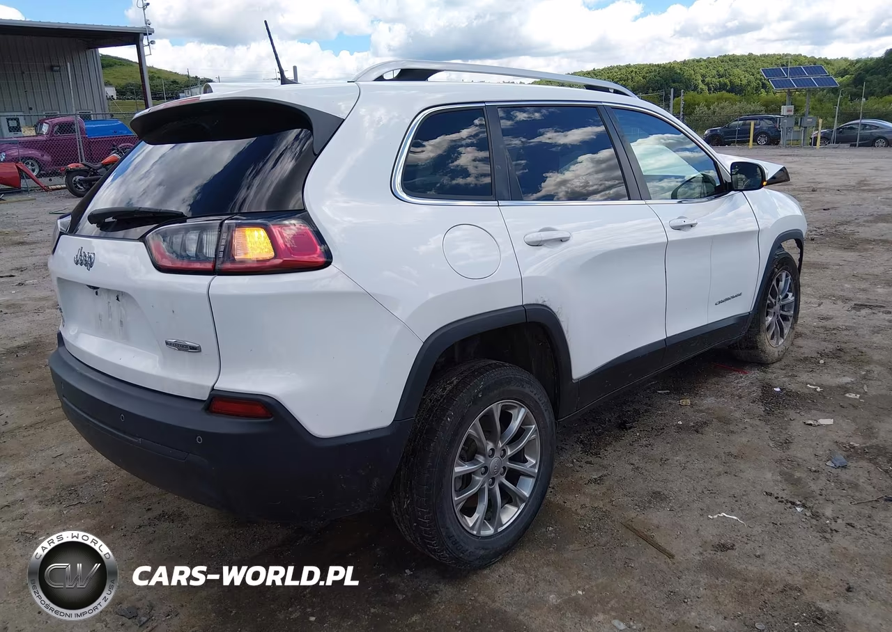 2020 Jeep Cherokee Latitude Plus 4X4 VIN:1C4PJMLB5LD602566 - 4