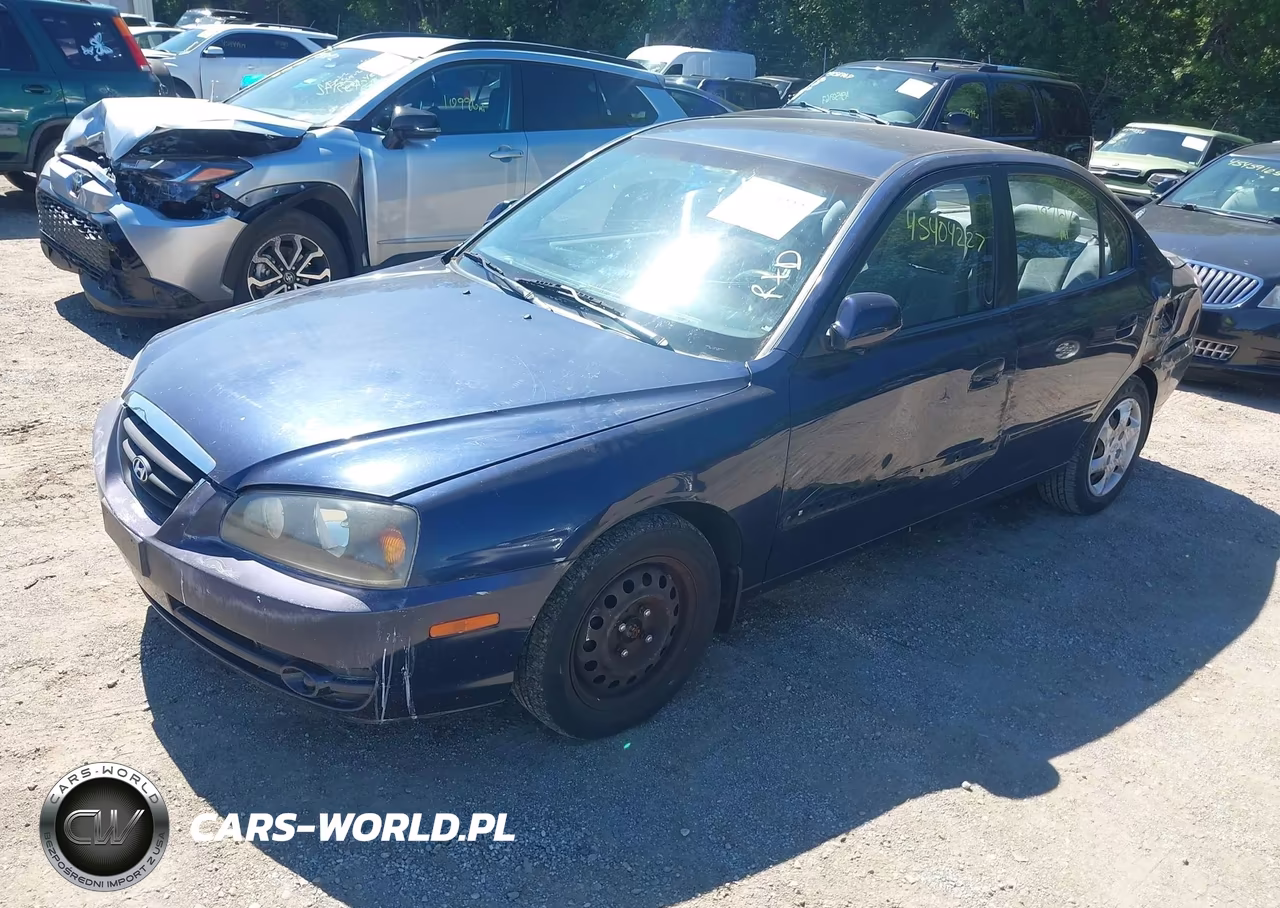2004 Hyundai Elantra Gls-Gt VIN:KMHDN46D54U817494 - 2
