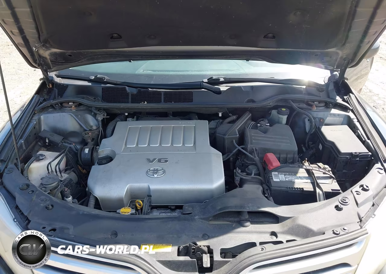 2009 Toyota Venza Base V6 VIN:4T3BK11A29U021487 - 10