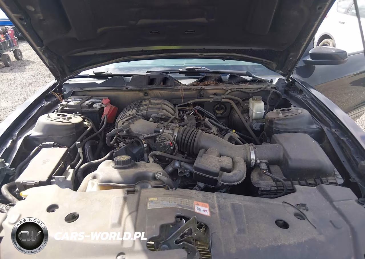 2014 Ford Mustang V6 Premium VIN:1ZVBP8AM0E5243884 - 10
