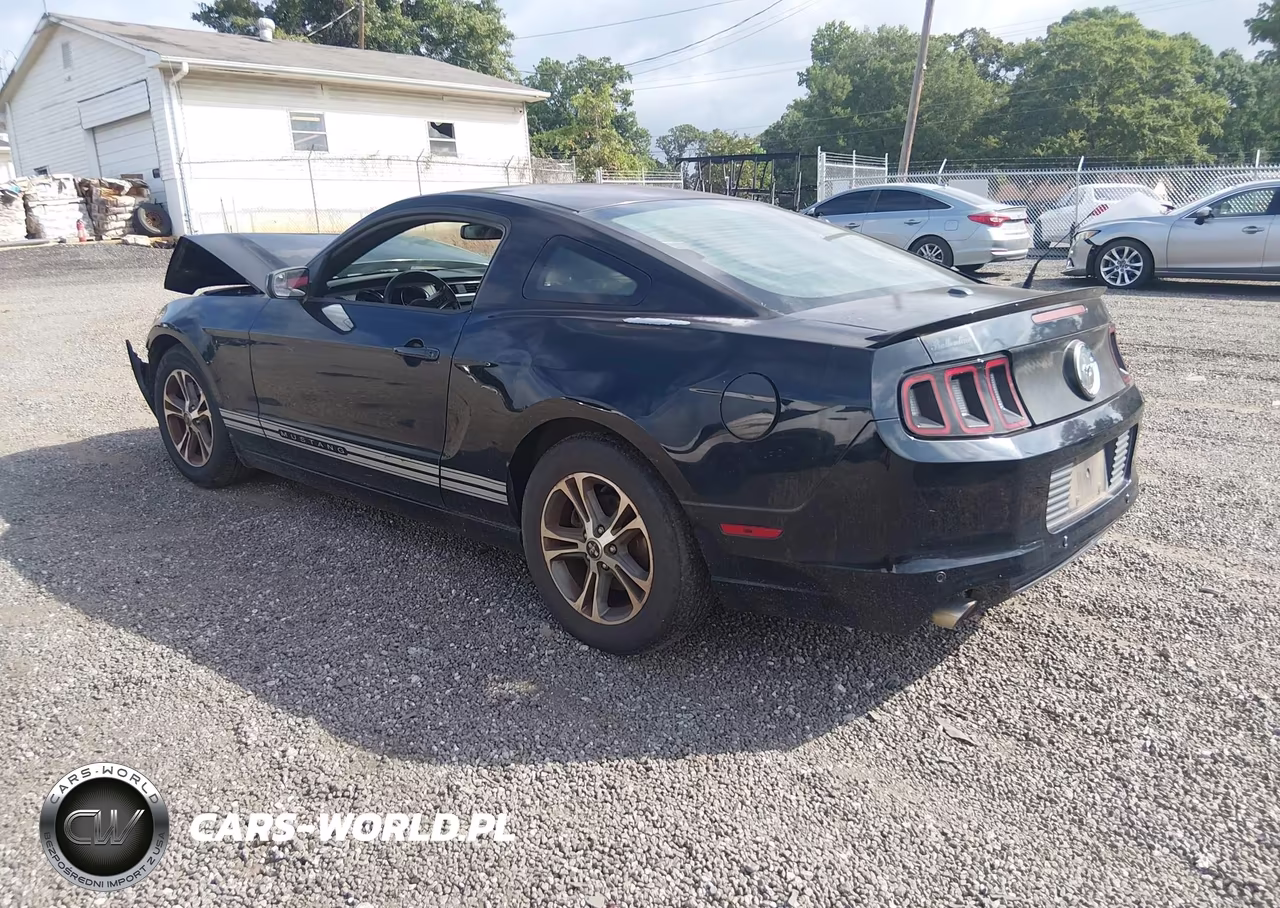 2014 Ford Mustang V6 Premium VIN:1ZVBP8AM0E5243884 - 3