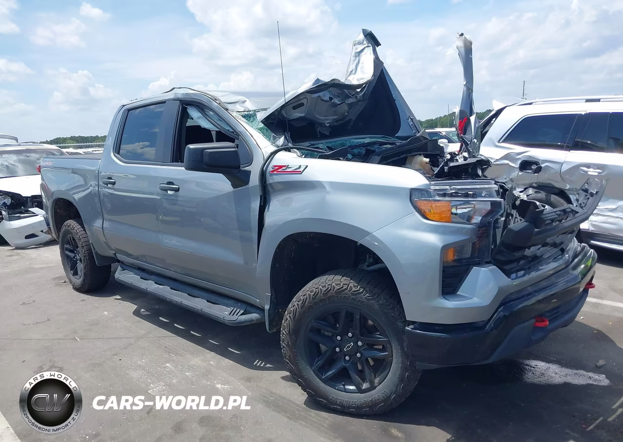 2024 Chevrolet Silverado 1500 4Wd Short Bed Custom Trail Boss – zdjęcie 1 z 15